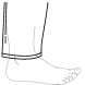 At Ankle